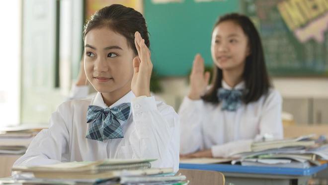高职单招全面报考指南钉考单招凯发k8入口2025年河北省(图2)