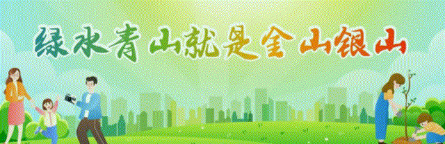 年高考考生的一封信致参加新疆2025