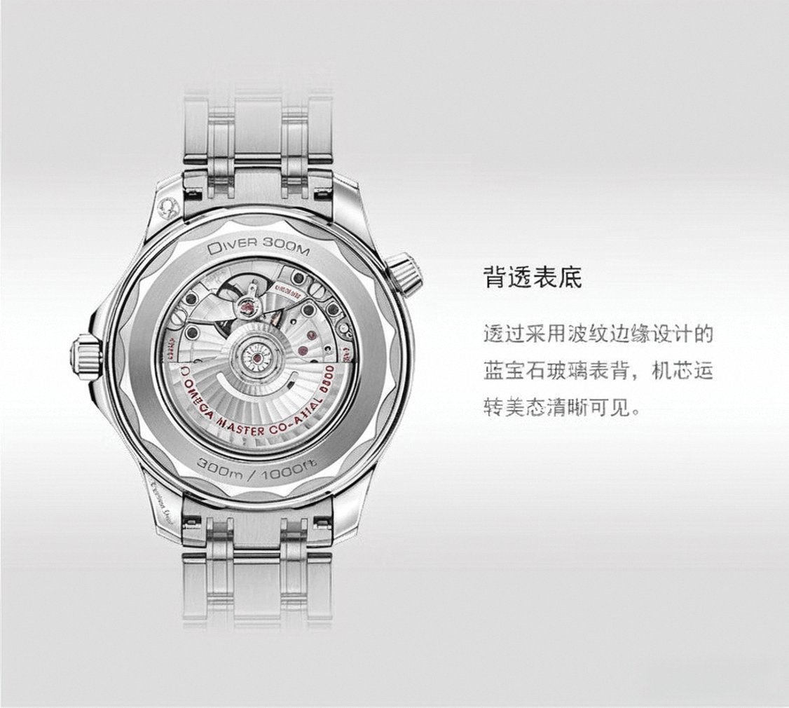 前十名及其独特魅力瑞士手表品牌排行榜(图11)